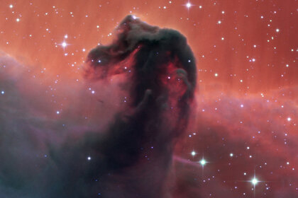 The Horsehead Nebula is named for obvious reasons; a thick clot of dust seen against glowing hydrogen gas. Credit: SPECULOOS Team/E. Jehin/ESO