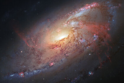 The inner disk of the spiral galaxy M 106 shows a pair of “anomalous arms”, actually gas heated by emission from the central black hole. Credit: NASA, ESA, the Hubble Heritage Team (STScI/AURA), and R. Gendler (for the Hubble Heritage Team). Acknowledgmen