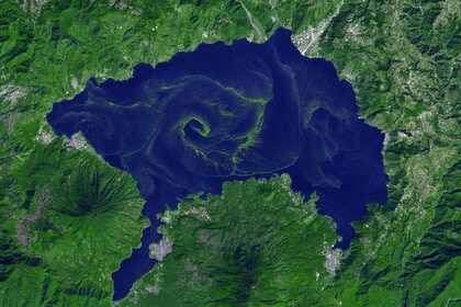 A cyanobacteria bloom in Guatemala’s Lake Atitlán created a vast dead zone in the otherwise fecund lake, showing that billions of years later these bacteria can still cause grief.