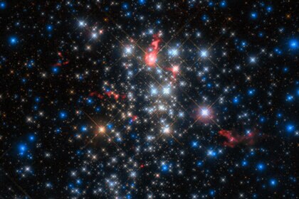 Westerlund-1, one of the most massive star clusters in the Milky Way. ALMA observations (red), superposed on a Hubble image, indicate several of the stars are enshrouded in warm dust. Credit: ESO/D. Fenech et al.; ALMA (ESO/NAOJ/NRAO)