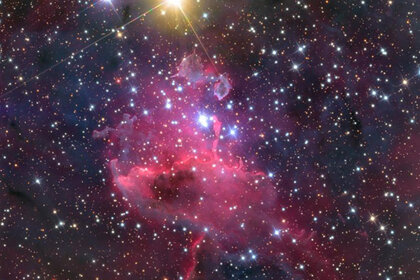 adamblock_ic417_590.jpg