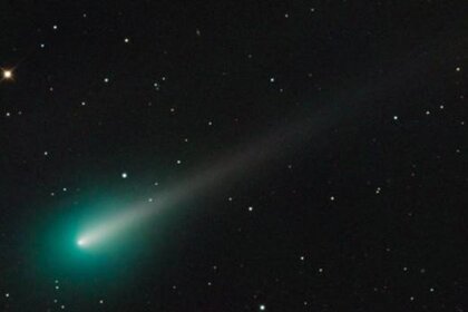adamblock_ison.jpg.CROP.rectangle-large.jpg