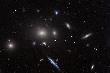 adamblock_leocluster1.jpg.CROP.rectangle-large.jpg