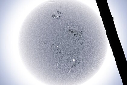 alanfriedman_Sun_powerline.jpg