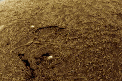 alanfriedman_sun_sep12014.jpg