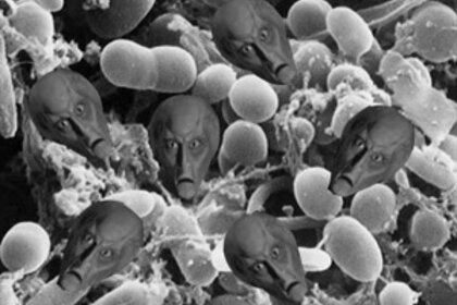 alien_bacteria_balok_1.jpg