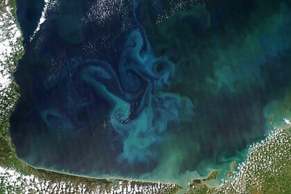 aqua_france_phytoplanktonbloom.jpg