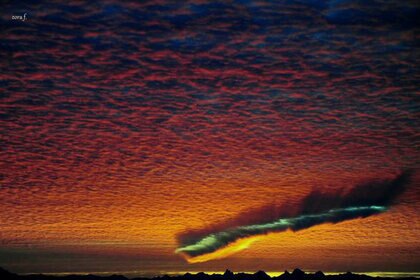 fallstreak1_0.jpg