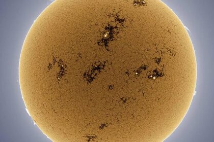 friedman_calciumsun.jpg.CROP.rectangle-large.jpg