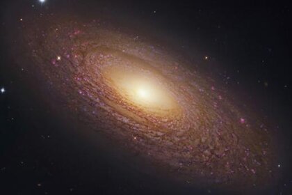 gendler_ngc2841.jpg.CROP.rectangle-large.jpg