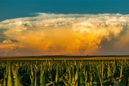 halverson_fieldofview_0.jpg