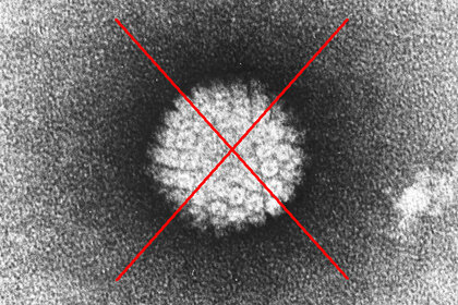 hpv.jpg