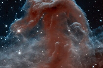 hst_horsehead.jpg