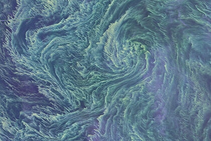 landsat8_algaebloom_baltic.jpg