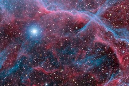 lorenzi_vela_590.jpg.CROP.rectangle-large.jpg