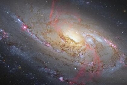 m106_vdhoeven_354.jpg.CROP.rectangle-large_0.jpg