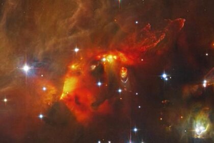 m43-hi-res-beletsky_590.jpg.CROP.rectangle-large_0.jpg