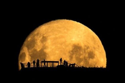 markgee_moonsilhouettes.jpg.CROP.rectangle-large.jpg