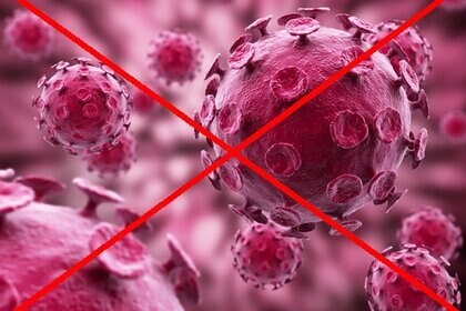 no_virus.jpg.CROP.rectangle-large_1.jpg