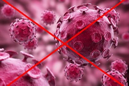 no_virus_354.jpg.CROP.rectangle-large_1.jpg
