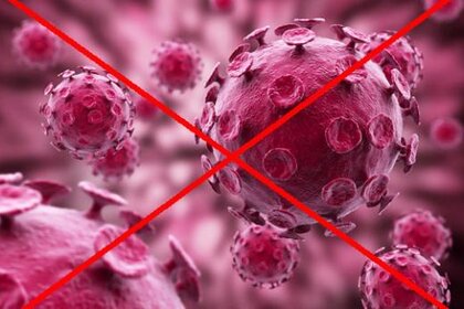 no_virus_590.jpg.CROP.rectangle-large_0.jpg