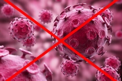 novirus_354.jpg.CROP.rectangle-large.jpg