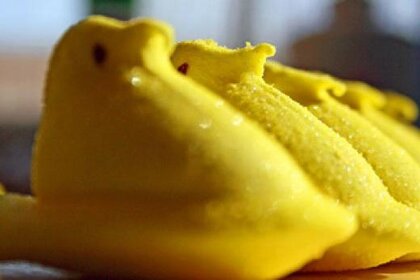 peeps_354.jpg.CROP.rectangle-large.jpg