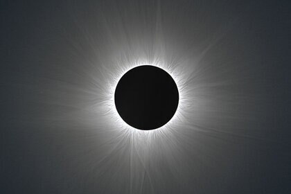 philhart_corona_0.jpg