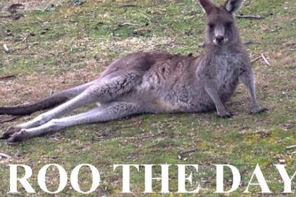 rootheday_568.jpg.CROP.rectangle-large.jpg