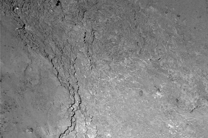 rosetta_shadow590.jpg