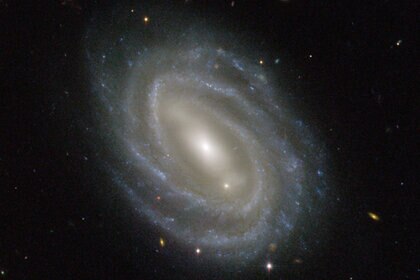 serpent_spiral_pgc54493_0.jpg