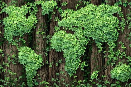 shutterstock_earth_leaves.jpg.CROP.rectangle-large.jpg