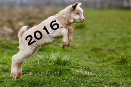 shutterstock_goat_leap.jpg.CROP.rectangle-large.jpg