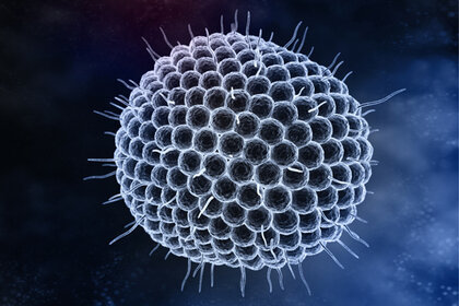 shutterstock_varicella_virus.jpg
