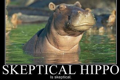 skepticalhippo.jpg.CROP.rectangle-large.jpg