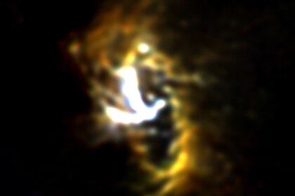sofia_galcen_ring.jpg