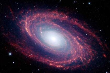 spitzer_m81.jpg.CROP.rectangle-large_0.jpg