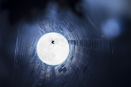stevemarr_spiderwebmoon_568.jpg