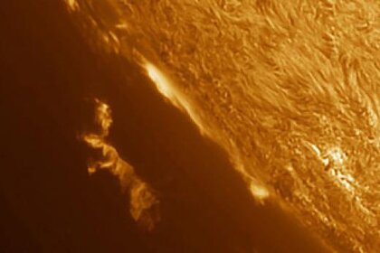 strand_rabbit_prominence_354.jpg.CROP.rectangle-large.jpg