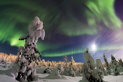 trifonova_aurora_twan.jpg
