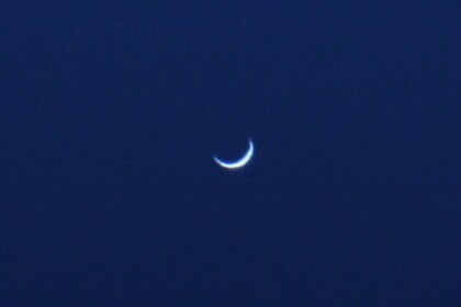 venus_christmas_2013_590.jpg