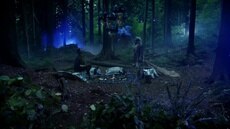 Sylvan Strangers