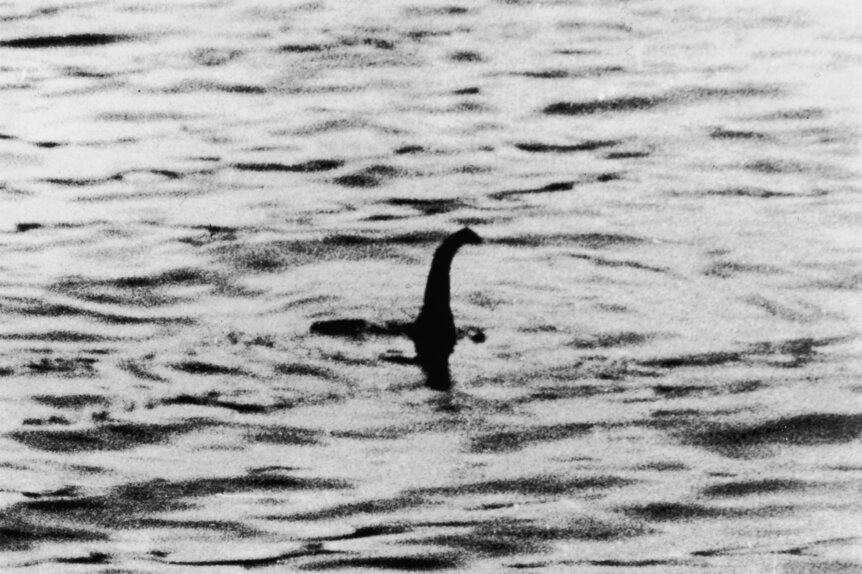 No, not a person. Simply a Loch Ness monster who is really hoping