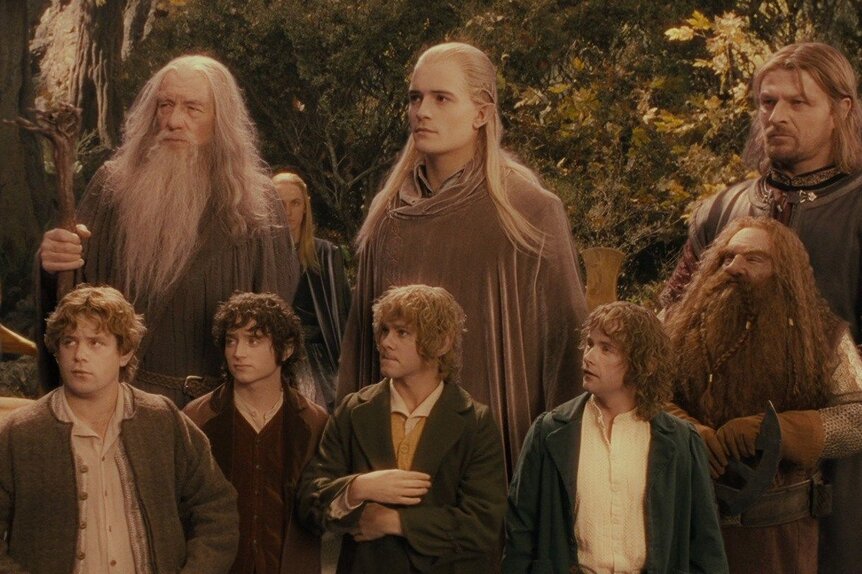 The Fellowship of the Ring — The Lord of the Rings Series - Plugged In