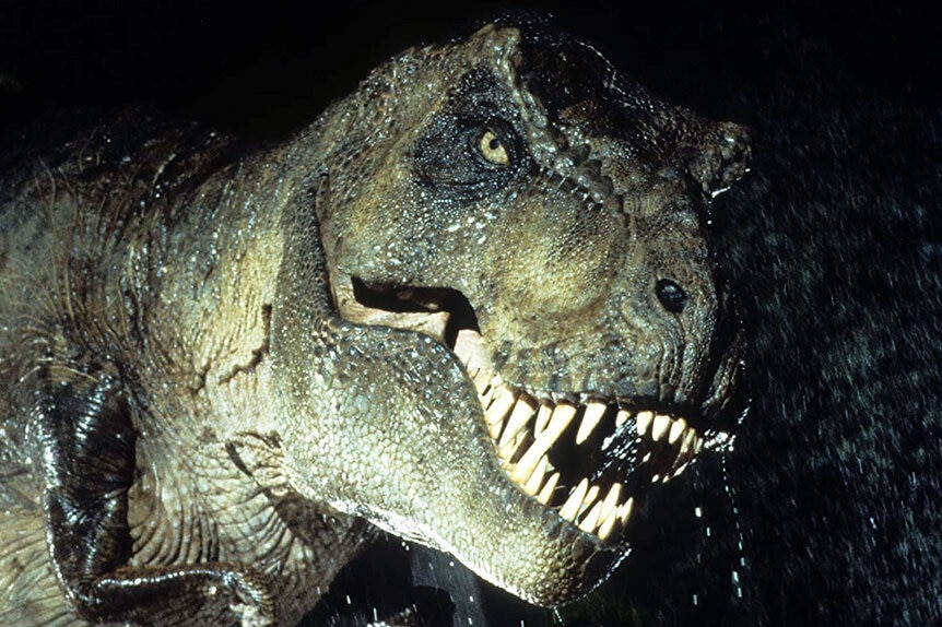 Teen Dinosaurs: T. Rex's Awkward Phase Helped It Hunt - The Atlantic