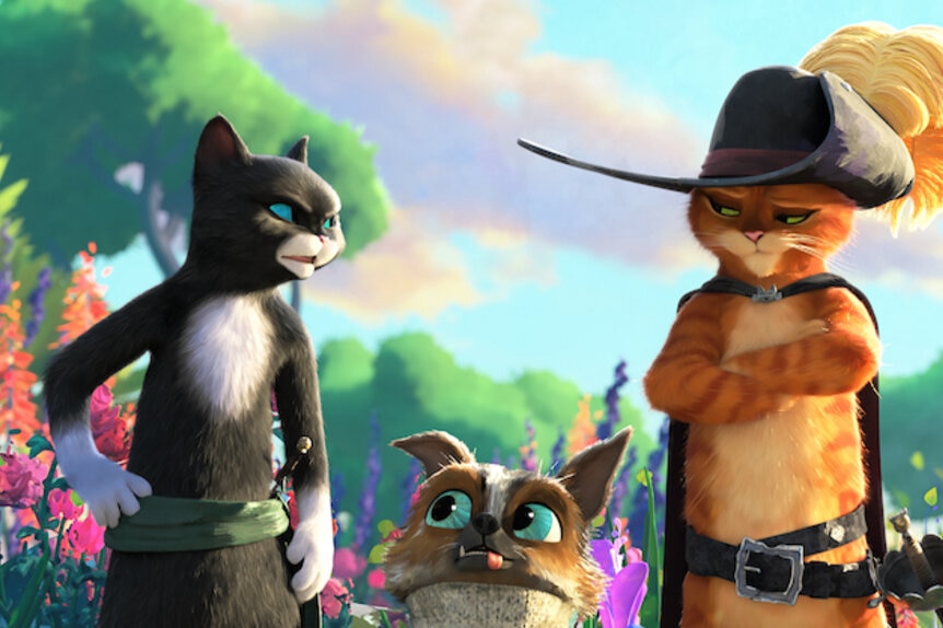 Duplicaat Trottoir Betuttelen Puss in Boots DreamWorks sequel trailer: Watch now | SYFY WIRE