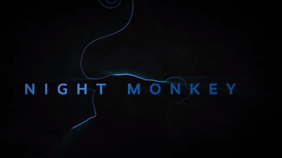 Night Monkey poster