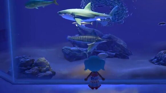 Animal Crossing aquarium