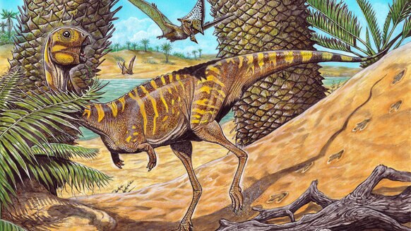Cassidy  artist's rendering of Berthasaura leopoldinae PRESS
