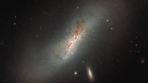 Liz Leda and NGC 4424 NASA